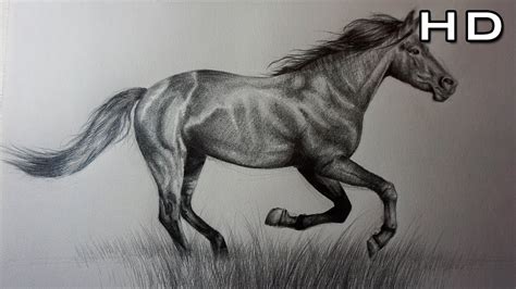 dibujos de caballos-4